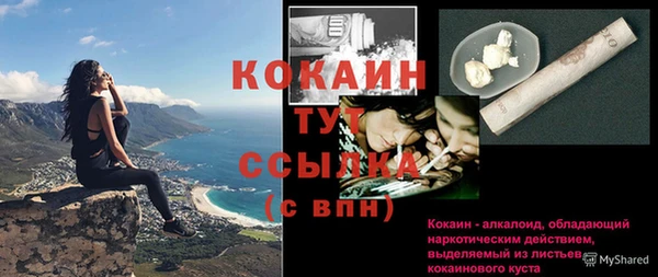 крисы Чегем