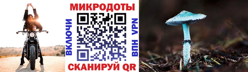 Псилоцибиновые грибы прущие грибы  Березники 