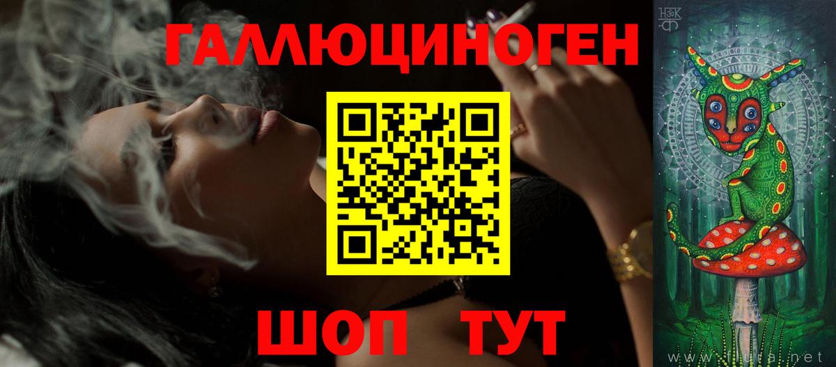 Псилоцибиновые грибы Psilocybine cubensis Березники